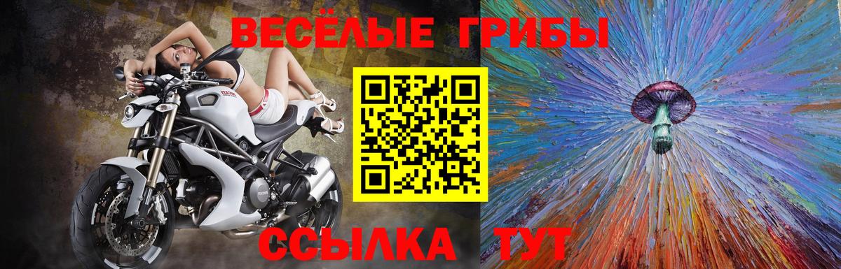 Псилоцибиновые грибы Psilocybine cubensis Урай